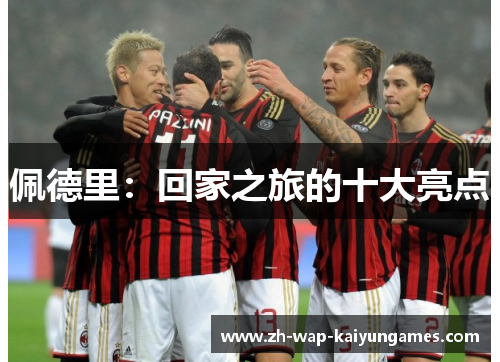 佩德里：回家之旅的十大亮点