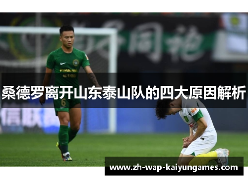 桑德罗离开山东泰山队的四大原因解析 桑德罗离开山东泰山队的四大原因解析