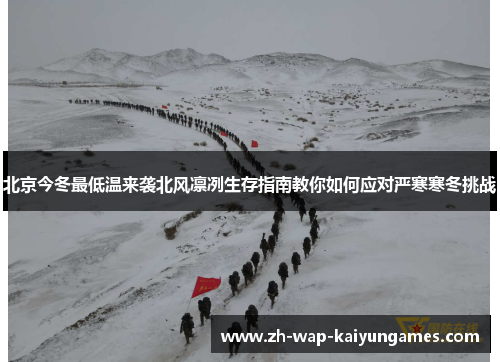 北京今冬最低温来袭北风凛冽生存指南教你如何应对严寒寒冬挑战