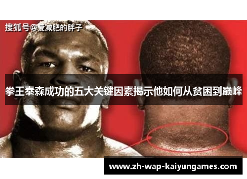 拳王泰森成功的五大关键因素揭示他如何从贫困到巅峰