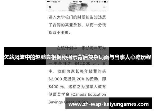 欠薪风波中的赵鹏真相揭秘揭示背后复杂局面与当事人心路历程 欠薪风波中的赵鹏真相揭秘揭示背后复杂局面与当事人心路历程