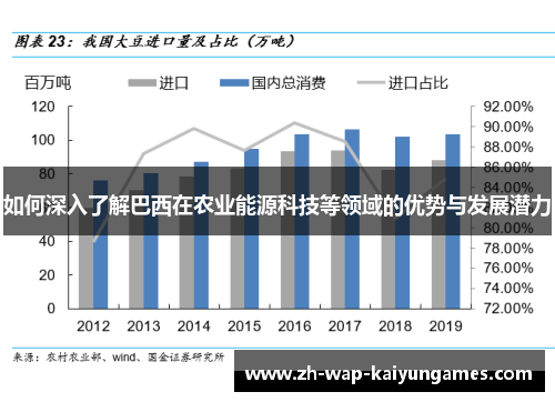 如何深入了解巴西在农业能源科技等领域的优势与发展潜力