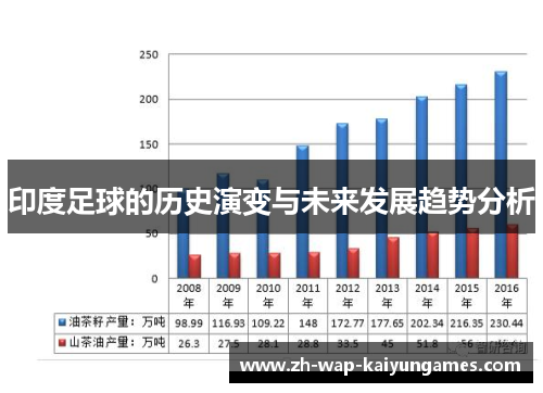 印度足球的历史演变与未来发展趋势分析 印度足球的历史演变与未来发展趋势分析