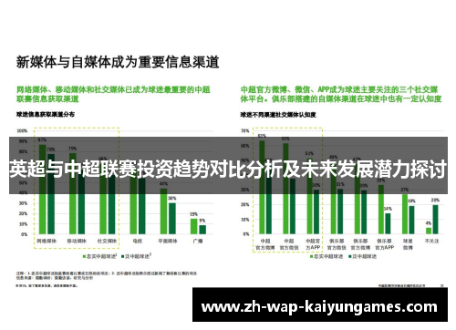 英超与中超联赛投资趋势对比分析及未来发展潜力探讨