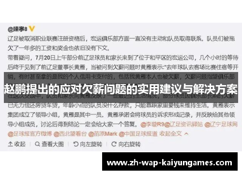 赵鹏提出的应对欠薪问题的实用建议与解决方案
