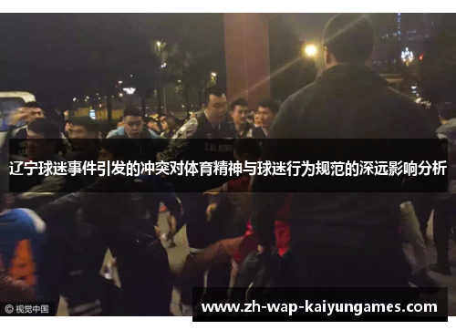 辽宁球迷事件引发的冲突对体育精神与球迷行为规范的深远影响分析