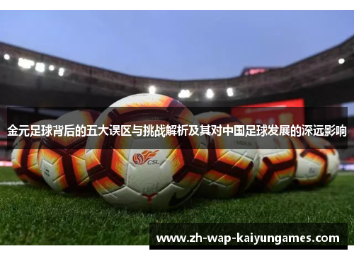 金元足球背后的五大误区与挑战解析及其对中国足球发展的深远影响