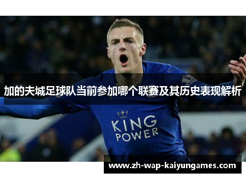 加的夫城足球队当前参加哪个联赛及其历史表现解析